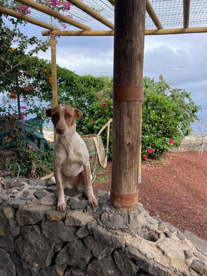 Finca Rural House Tenerife Relax And Enjoy Санта-Урсула Экстерьер фото