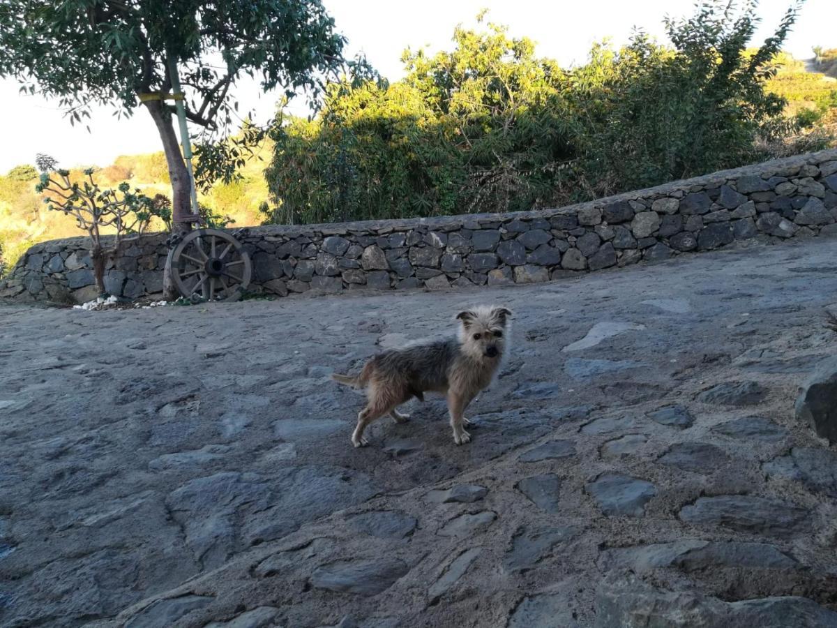 Finca Rural House Tenerife Relax And Enjoy Санта-Урсула Экстерьер фото