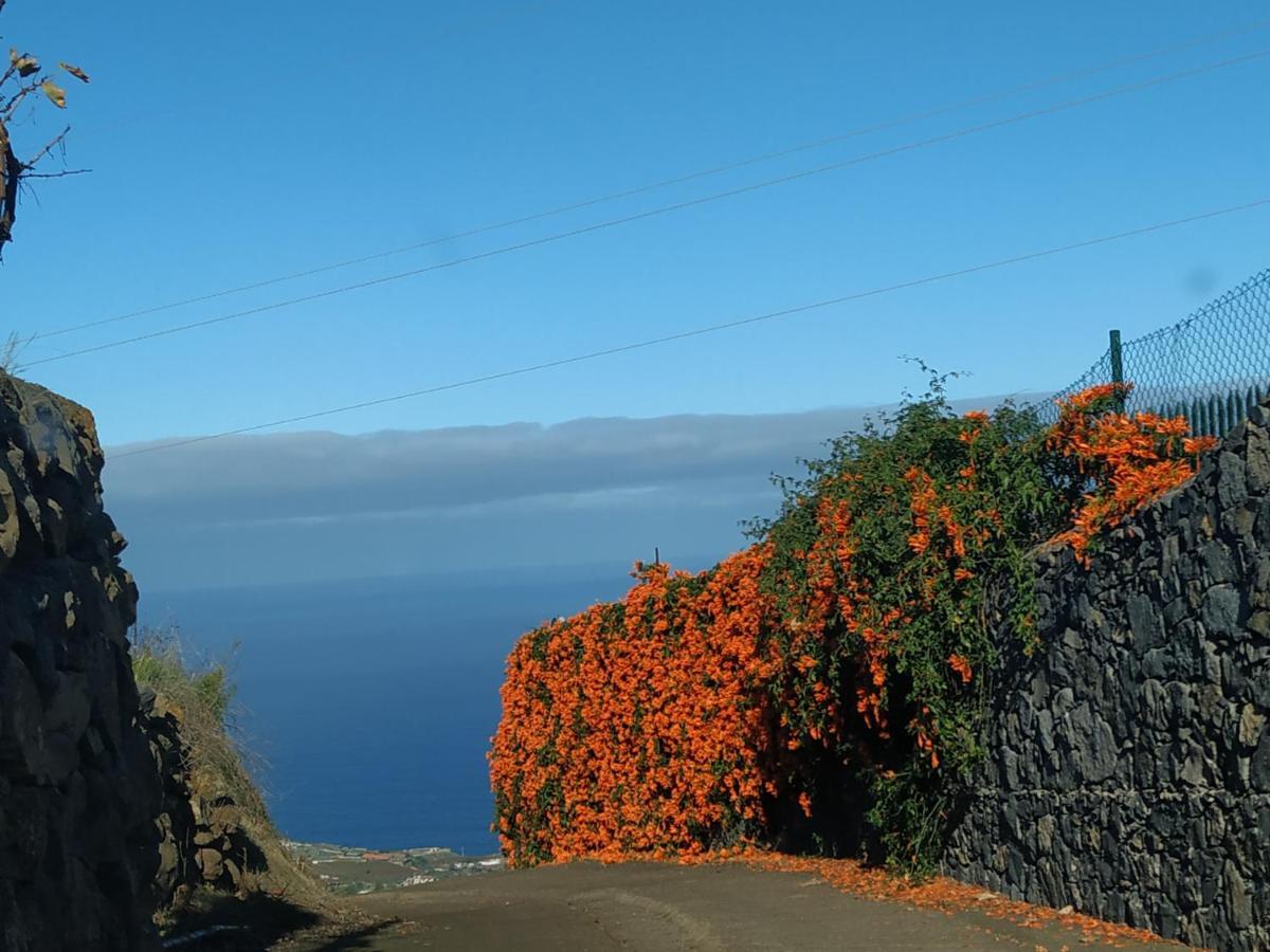 Finca Rural House Tenerife Relax And Enjoy Санта-Урсула Экстерьер фото