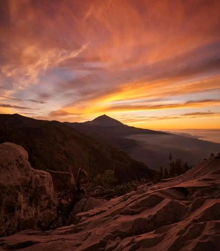 Finca Rural House Tenerife Relax And Enjoy Санта-Урсула Экстерьер фото