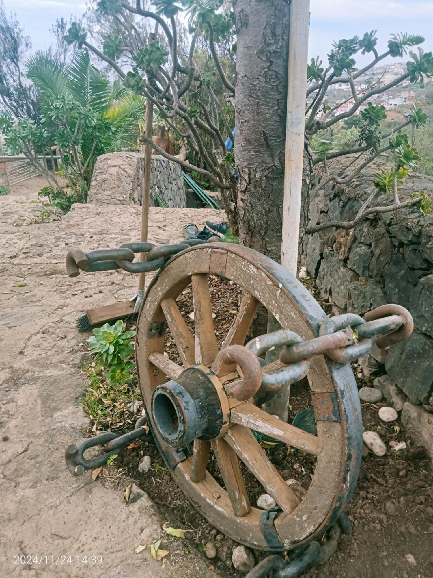 Finca Rural House Tenerife Relax And Enjoy Санта-Урсула Экстерьер фото