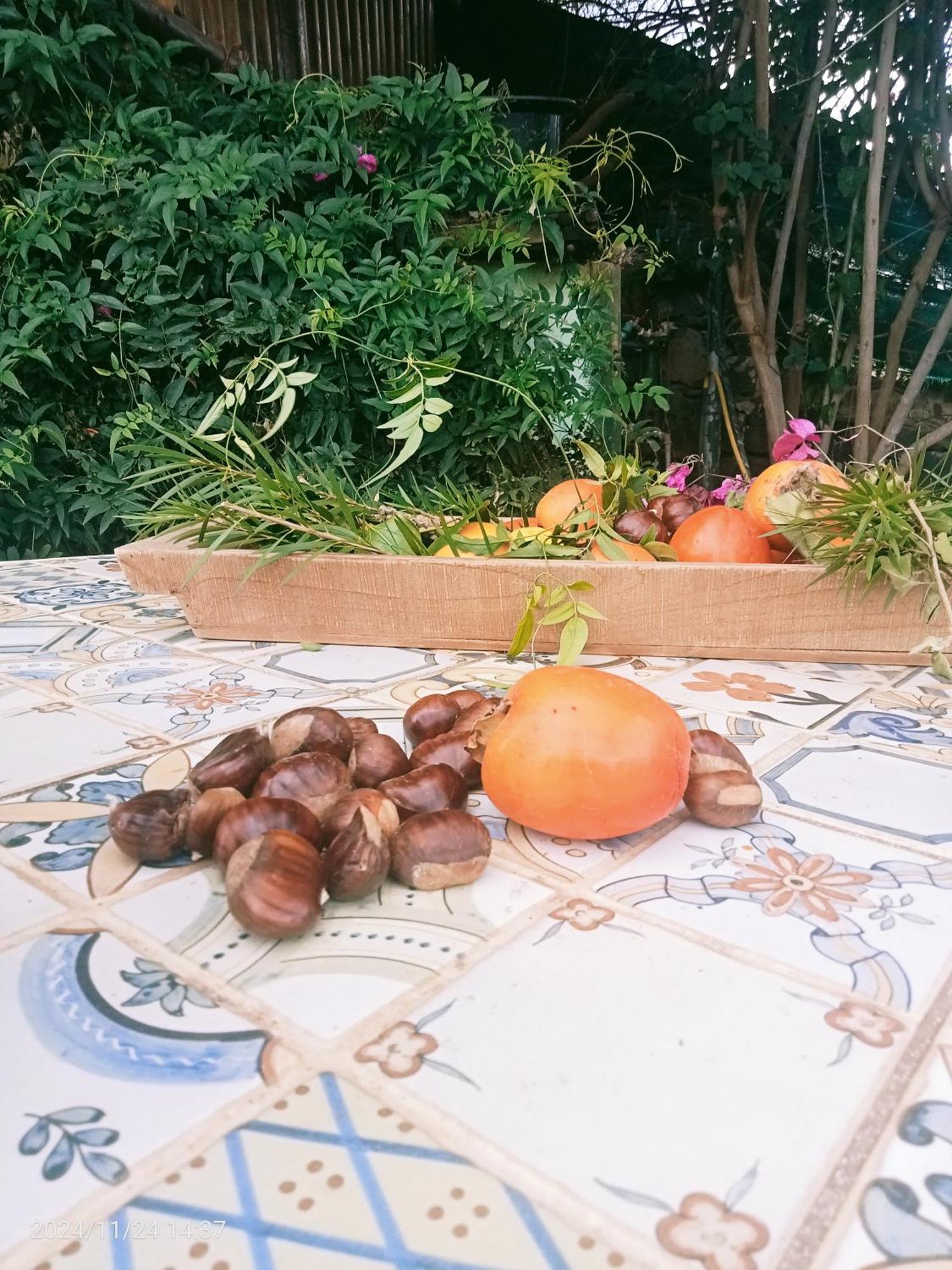 Finca Rural House Tenerife Relax And Enjoy Санта-Урсула Экстерьер фото