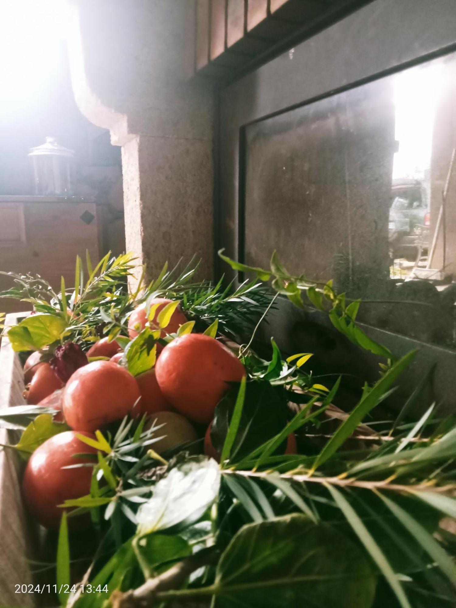 Finca Rural House Tenerife Relax And Enjoy Санта-Урсула Экстерьер фото