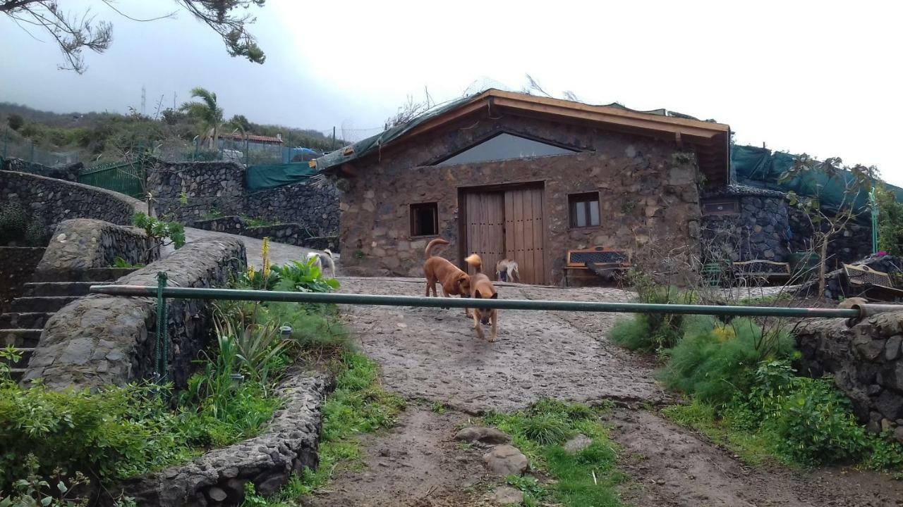 Finca Rural House Tenerife Relax And Enjoy Санта-Урсула Экстерьер фото