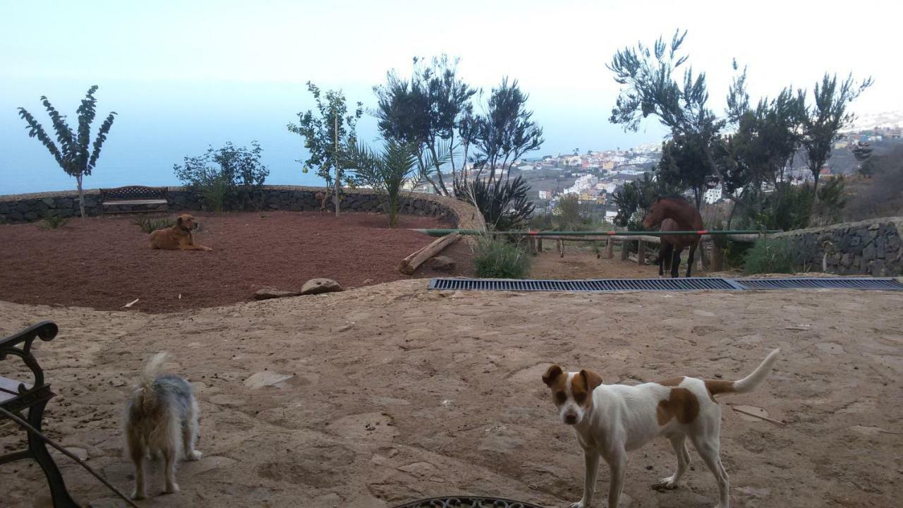 Finca Rural House Tenerife Relax And Enjoy Санта-Урсула Экстерьер фото